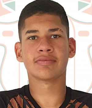 LUIZ HENRIQUE