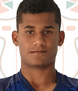 SAMIR